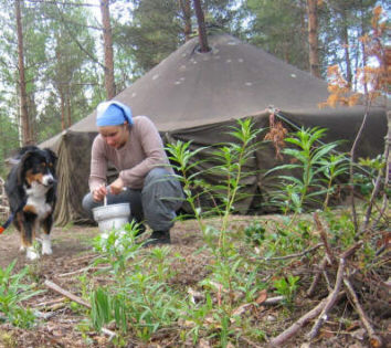 Kemin harjoitusleirillä majoituin puolijoukkuetelttaan.