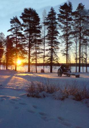 Uusi viikko Niinisalossa